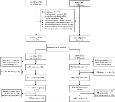 Letrozole cotreatment improves the follicular output rate in high-body-mass-index women with polycystic ovary syndrome undergoing IVF treatment